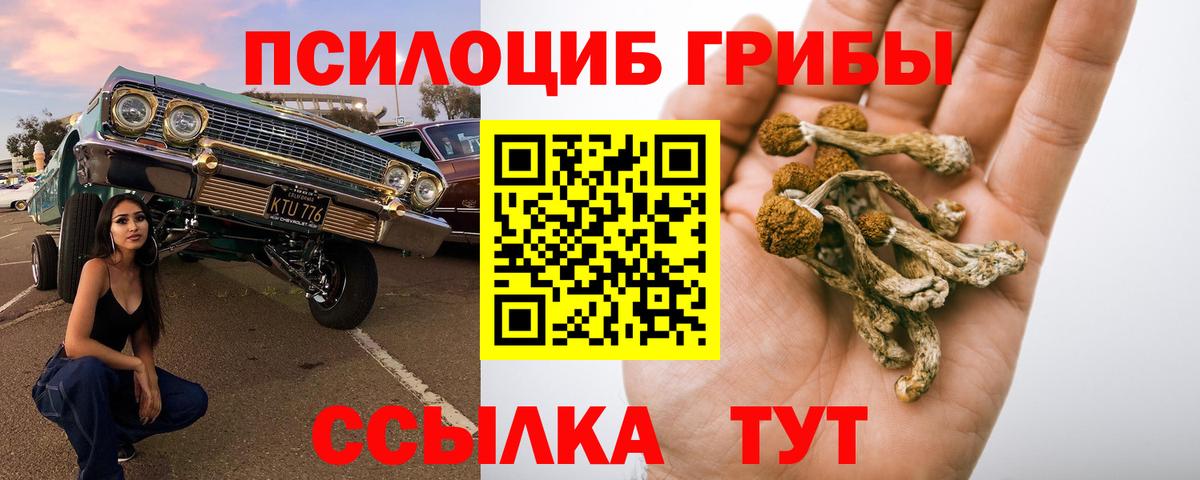 Псилоцибиновые грибы мухоморы  Вход с VPN  Новочеркасск 